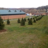Forget Me Not Landscaping gallery