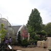 Platt Hill Nursery gallery