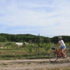 Grand Travers Bike Tours & Suttons Bay Bikes gallery