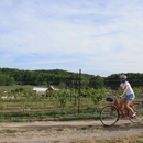 Grand Travers Bike Tours & Suttons Bay Bikes - Bicycle Shops