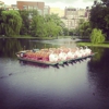 Swan Boats gallery