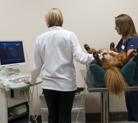 VCA Angel Animal Hospital - Flower Mound, TX