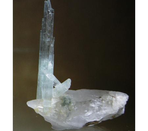 Dazlyn Gems - Langwarrin, VIC
