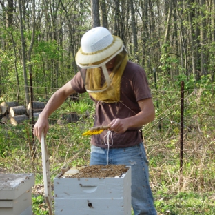 Southeast Bee Removal LLC - Fayetteville, GA