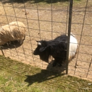 North Georgia Zoo & Farm - Petting Zoos