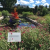 White River Gardens gallery