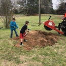 Arreguin & sons stump grinding - Stump Removal & Grinding