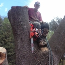 KINGS TREE SERVICE - Tree Service