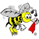 Clean Bee Flooring & Upholstery Care - Carpet & Rug Cleaners