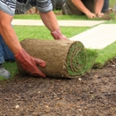 Kut Lawn Care - Lawn Maintenance