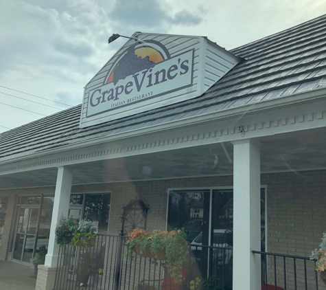 Grapevines - Dahlonega, GA