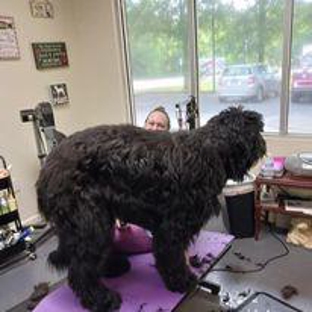 Pet's Paradise Grooming Salon and Spa - Newnan, GA