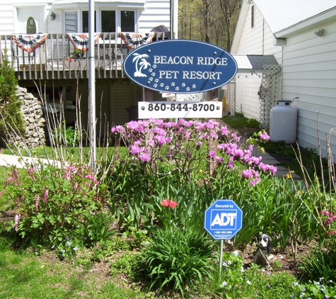 Beacon Ridge Pet Resort LLC - East Granby, CT