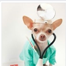 Northside Veterinary Clinic - Veterinary Specialty Services
