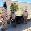 Capital Arborists Inc gallery