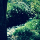 Los Olmos Lodge
