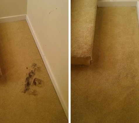 CitruSolution Carpet Cleaning - Chester, VA