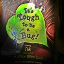 It's Tough to Be A Bug! - Tourist Information & Attractions