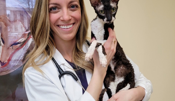 VCA SouthPaws Veterinary Specialists & Emergency Center - Fairfax, VA