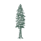 Redwood Dental