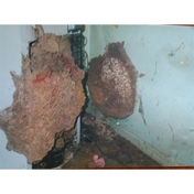 Gallery Image Number 8
