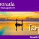 Islamorada Investment Management