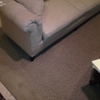 Annandale Carpet Cleaning gallery