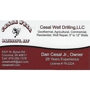 Cesal Well Drilling LLC