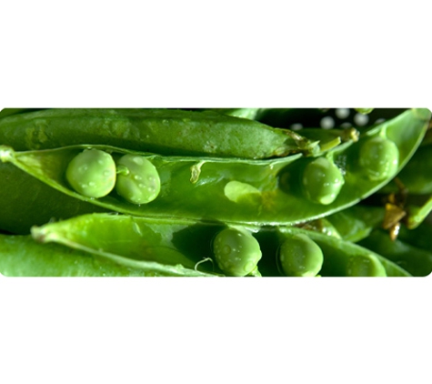 Best Fresh Fruit & Veg Wholesale - Hobart, TAS