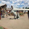 Wall Drug Store gallery