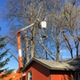 Autumn Tree Service Inc