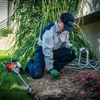 Fox Pest Control Albany gallery