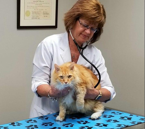 Fort Henry Animal Hospital - Kingsport, TN