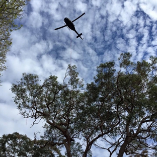 Newcastle Tree Care - Warners Bay, NSW