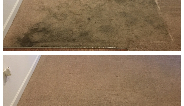 Masterkleen Carpet Care. Before/After