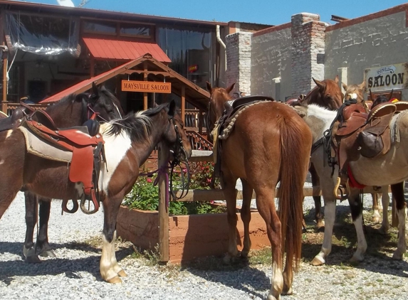 Maysville Saloon - Maysville, GA