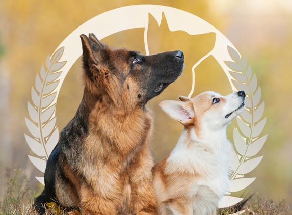 Dog Training Elite San Antonio