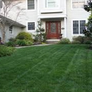 Black Tie Lawn Service - Lawn Maintenance