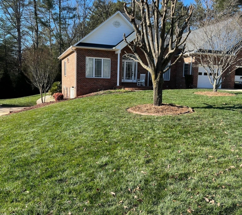 Chester Tree Care - Hickory, NC