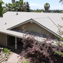 Econo Roofing