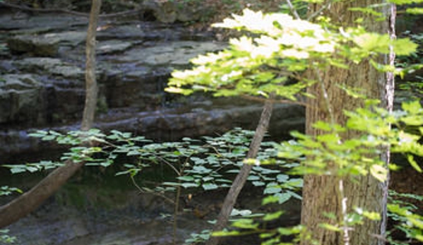 Cabins At Green Mountain - Branson, MO