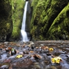 Oneonta Gorge gallery