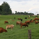 Maxximilk USA - Livestock Breeders
