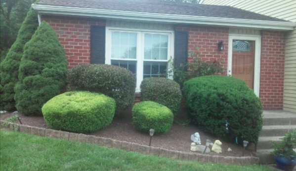 CICCO'S Landscaping & Design - Bensalem, PA