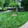 Lawn Frogs Landscaping gallery