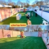 Happy Dog Pet Resort gallery