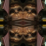 Photo #11