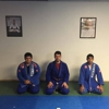 Arte Da Luta LLC Traditional Brazilian Jiu Jitsu gallery