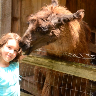 Sunburst Stables - Clarkesville, GA