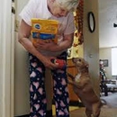 AniMeals-on-Wheels - Humane Societies